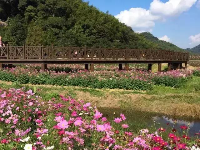 五一广东游玩攻略人少,五一广东免费的旅游景点