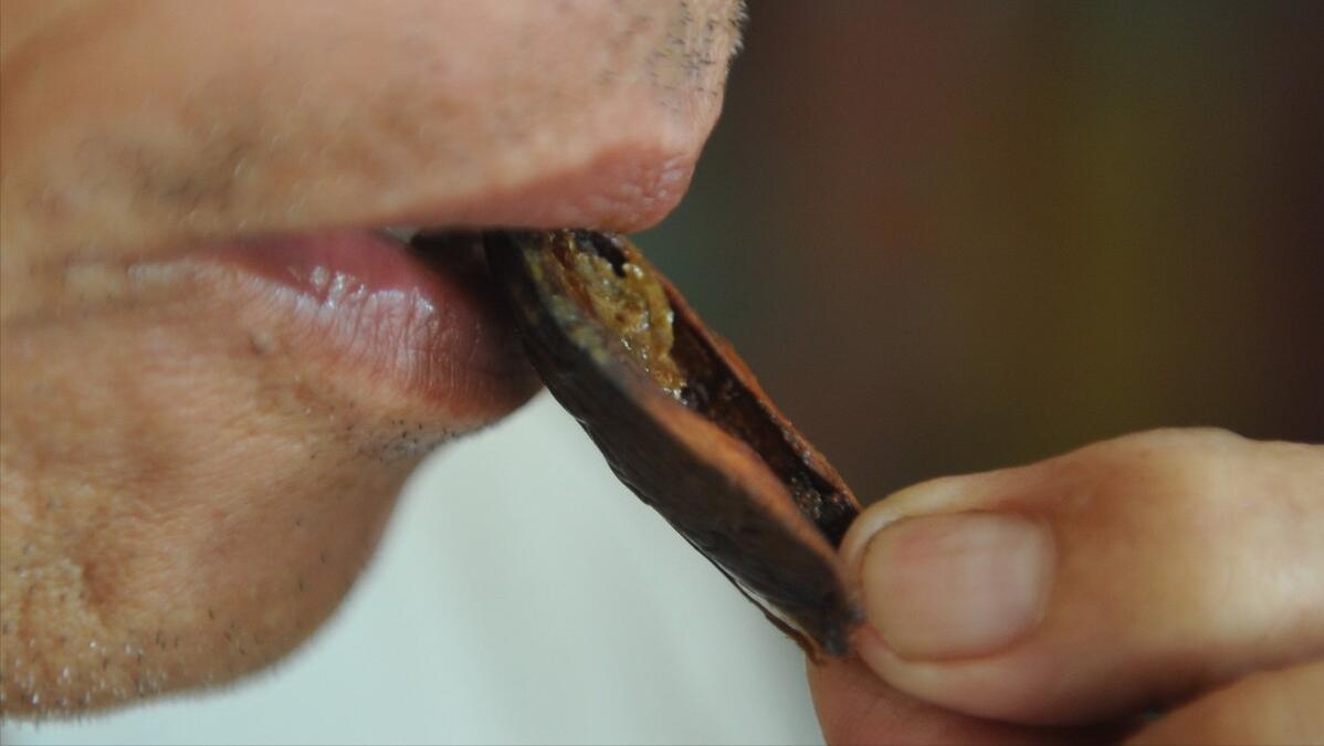 揭秘槟榔如何快速毁掉你的健康,从医学角度来说槟榔的坏处