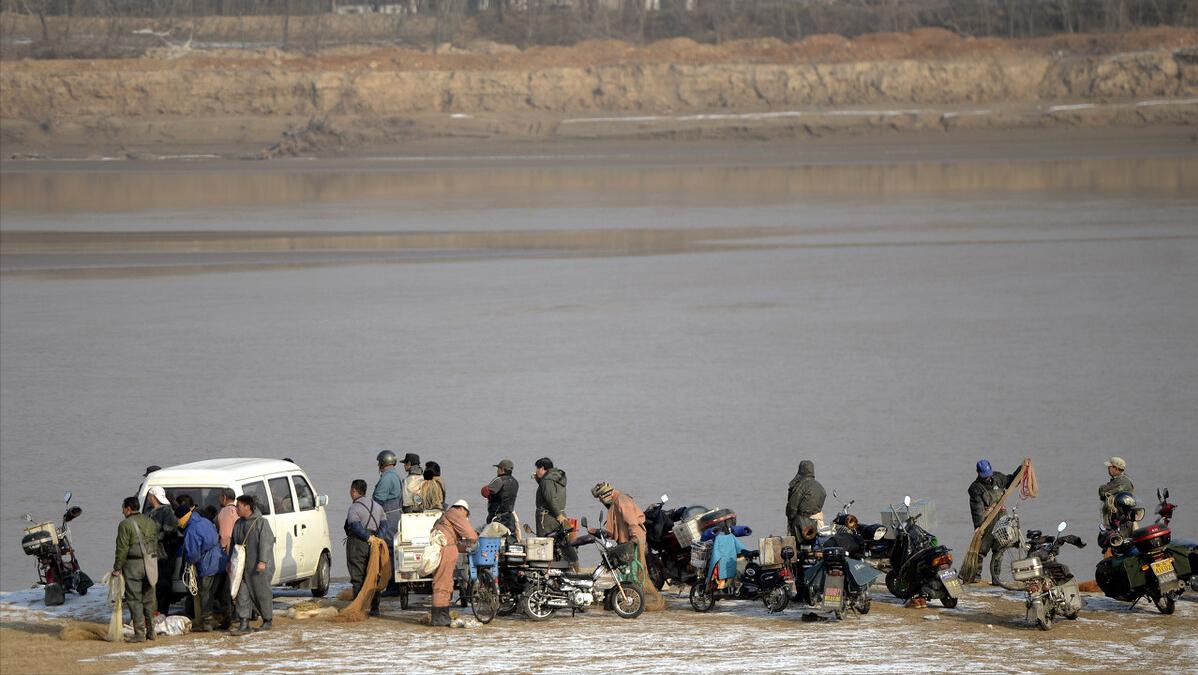 南方鲤鱼和北方鲤鱼区别,鲤鱼能长多少斤