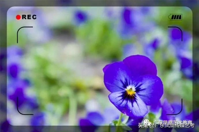 三分钟彻底搞懂景深,如何正确应用景深