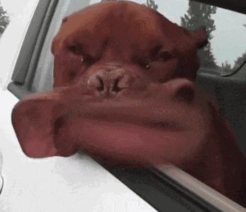 如何享受生活快乐,如何享受生活的滋味