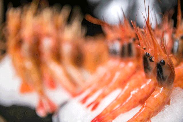 帝王蟹波龙象拔蚌,陆家嘴帝王蟹