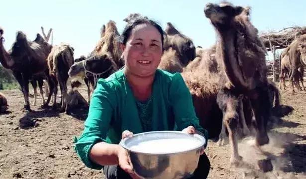 新疆各品牌饮品推荐,新疆好喝的饮品