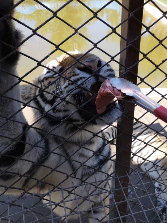 哈尔滨海拉尔呼伦贝尔旅游游记,哈尔滨漠河满洲里旅游攻略