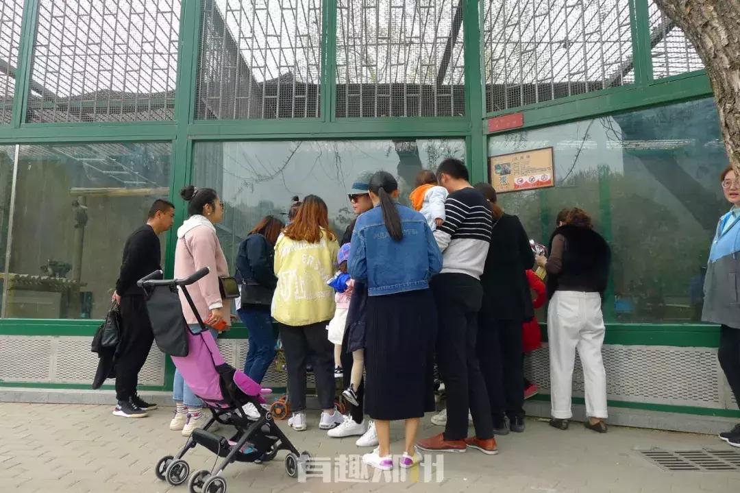 郑州市动物园开放,郑州市动物园什么时候去合适