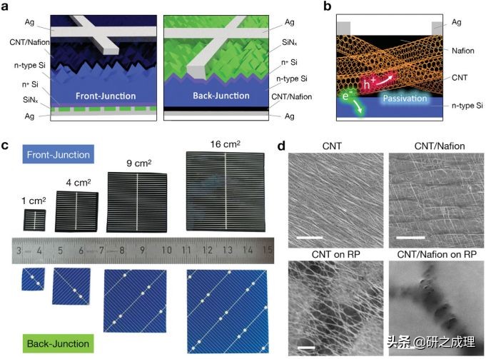 能源周报：Science、JACS、Angew.、AM、Chem等大合集