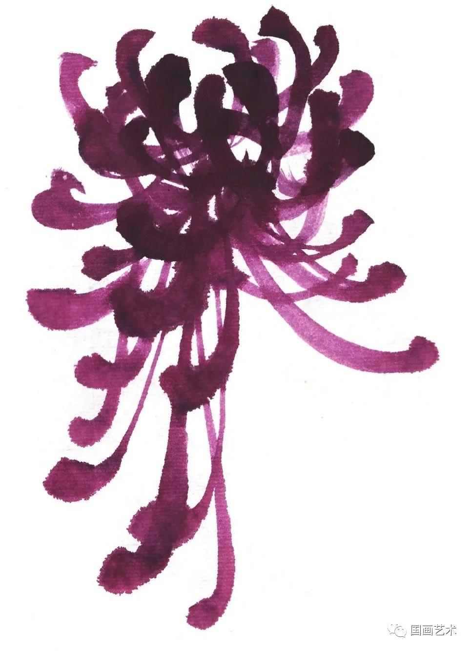 国画写意菊花龙爪菊,写意菊花画法教程简单