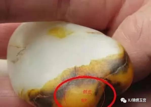 5000买的红皮白肉,红皮白肉都是假的