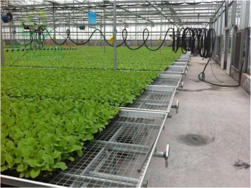 温室大棚选址要求,包头温室大棚建造要求