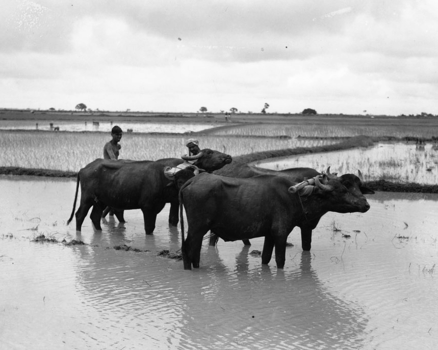 什么是地球知识局,孟加拉国地理知识