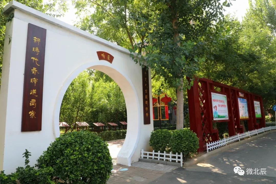 天津抗击新冠肺炎疫情先进典型 (全国抗击新冠肺炎疫情表彰哪些人)