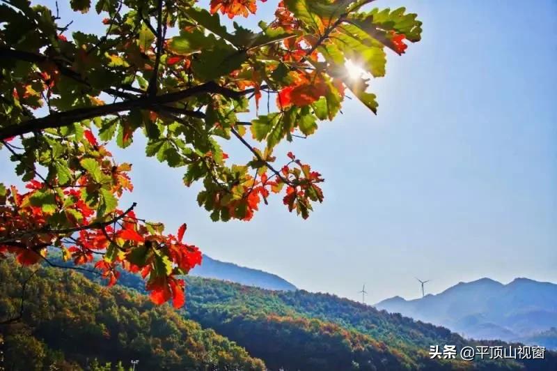 平顶山九峰山一日游攻略,平顶山汝州九峰山风景区