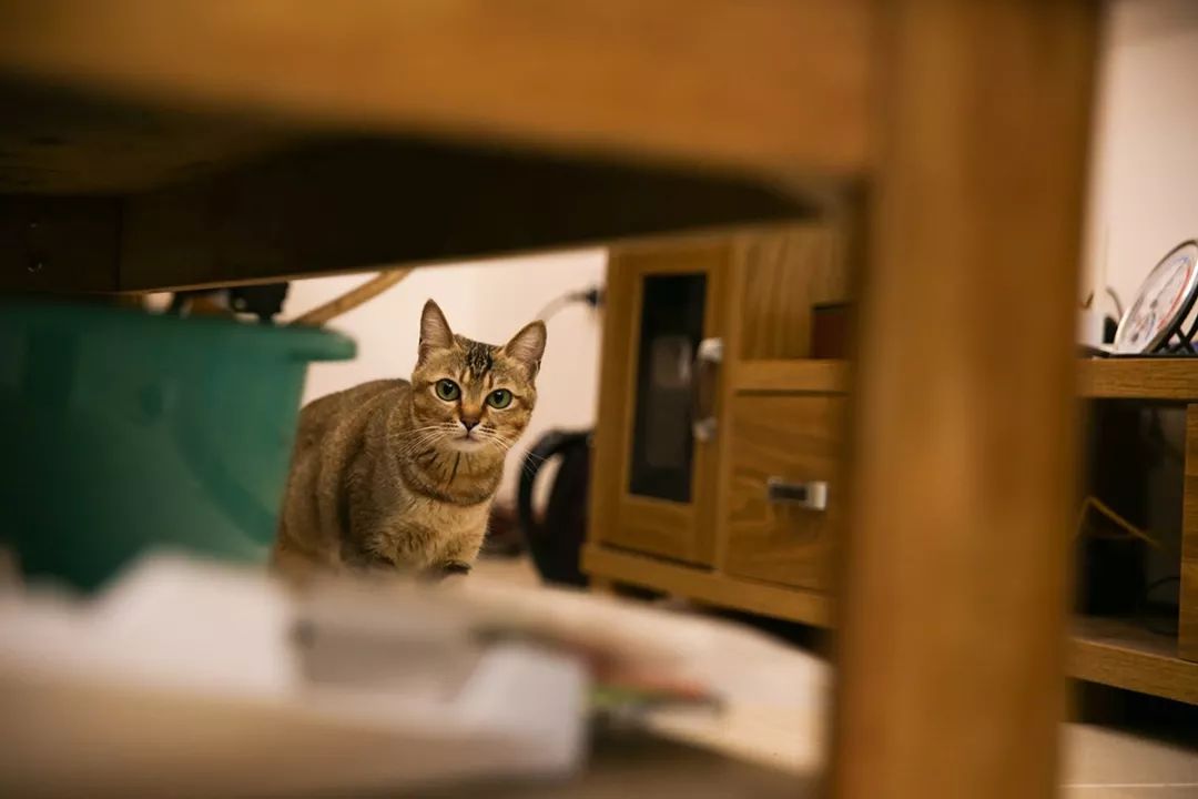 深圳富人日常生活真实记录,在深圳普通人最真实的生活状态