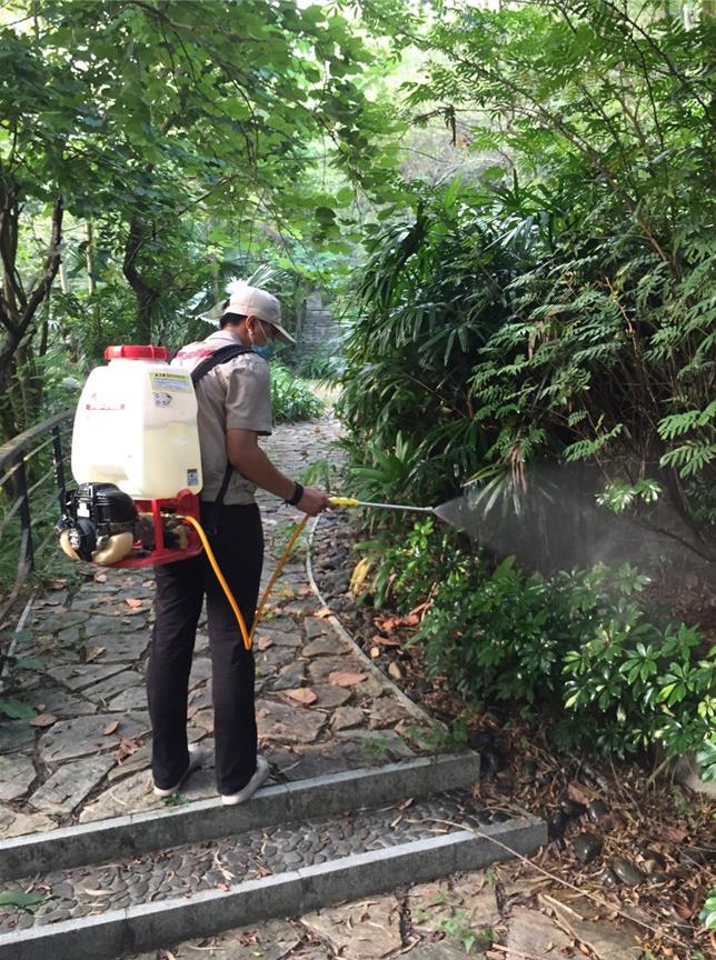 园林绿化白蚁防治如何进行,城市园林中白蚁怎么防治