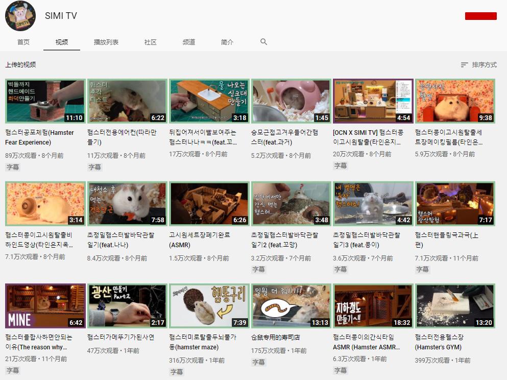 身价300万的仓鼠外网走红！住3层电梯豪宅，丰富娱乐，人不如鼠啊