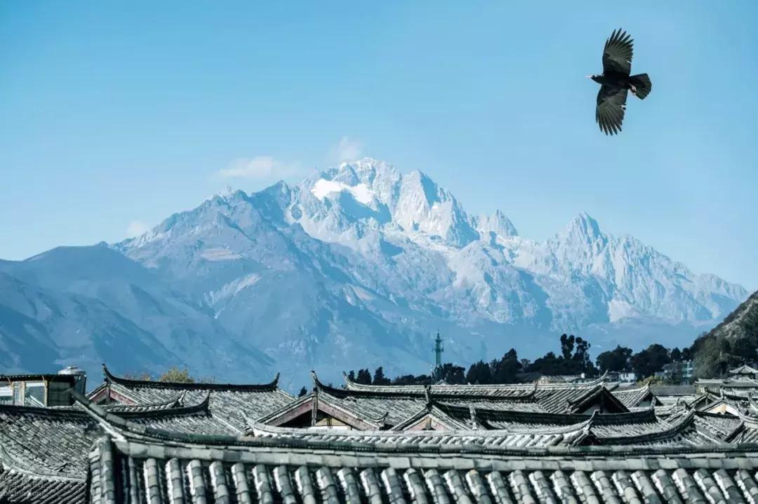 看了照片，我3秒钟就决定要去丽江