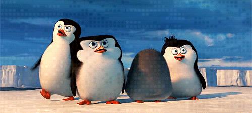 不为吃不为地盘,为什么可爱的猫会折磨猎物并赶尽杀绝?