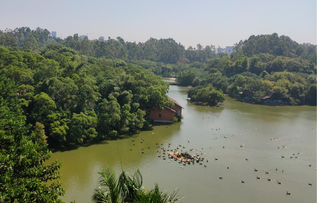 长隆野生动物园的缆车有多久时间,广州长隆野生动物园门票含缆车么