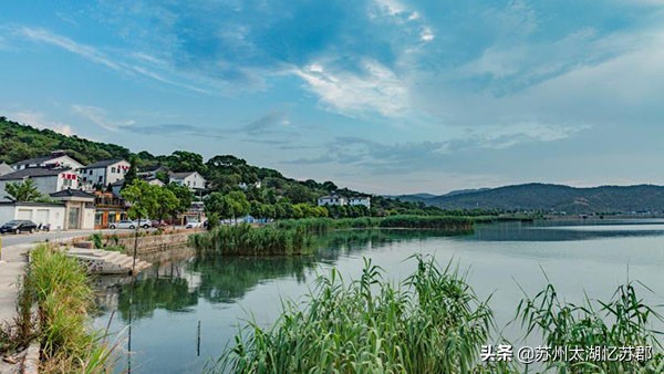 鲜嫩多汁的奉贤黄桃,苏州黄桃现在熟了吗