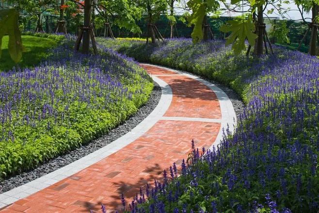 烧结砖与透水砖哪个好,烧结砖与水泥砖