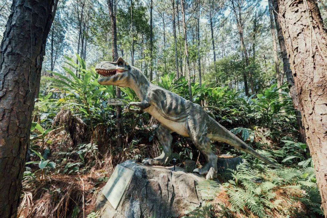 清远森波拉温泉晚餐,清远森波拉温泉度假村酒店报价