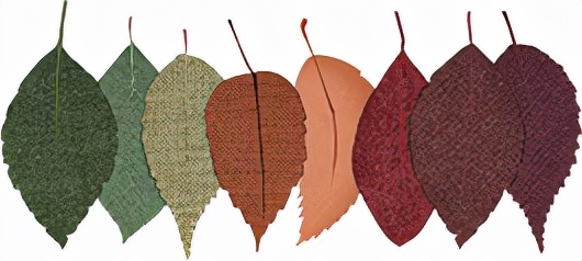 我在他乡挺好的,在他乡我很好