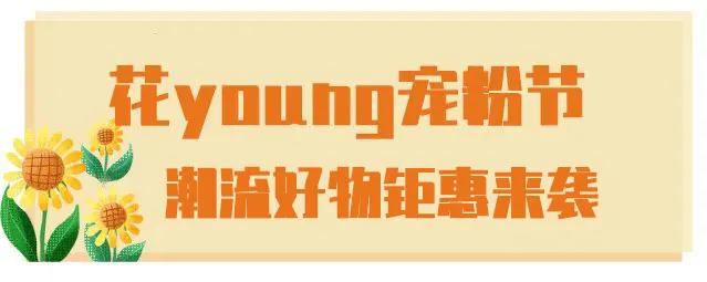 十堰向日葵花海打卡网红地,十堰美丽的地方