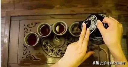 人参九宝茶的功效和禁忌,凤凰单枞茶的功效与禁忌