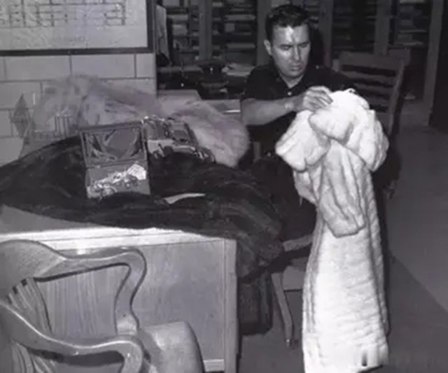 日本医生解剖梦露尸体,声称:心脏和肝脏都没有异常,非常干净