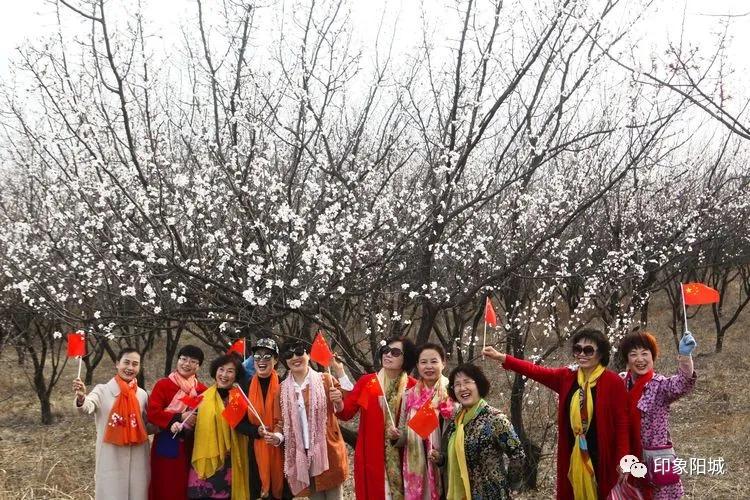 晋城哪里可以春游,晋城附近春游景点