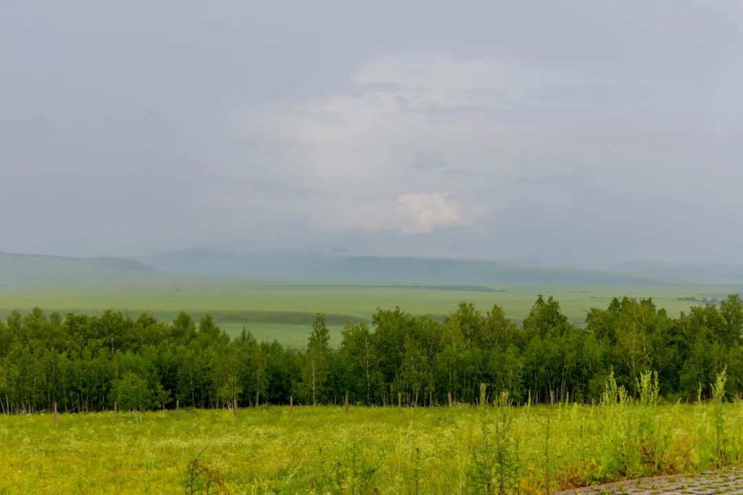 自驾三天呼伦贝尔大草原,自驾去呼伦贝尔草原七日游的攻略