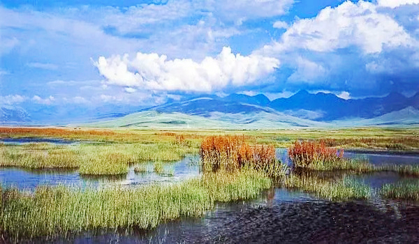 九曲十八弯河流,九曲十八弯水库