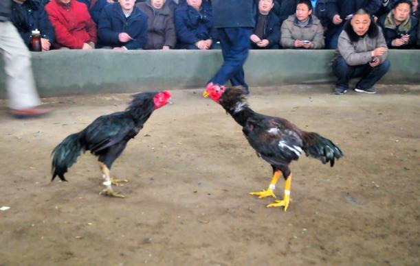 开封古都历史文化,开封市十大古都