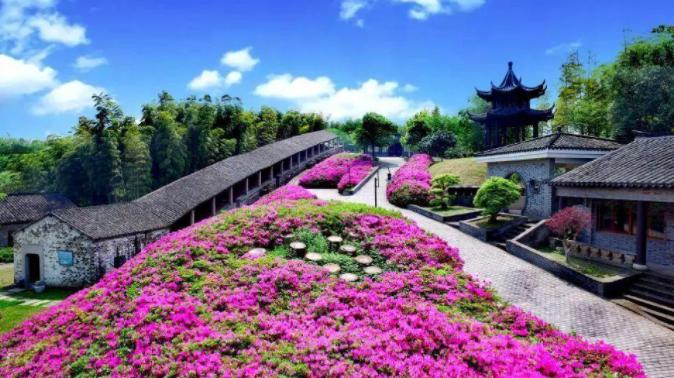 一抟土,会变身成什么?一分钟带你了解无锡工艺“最美”专业