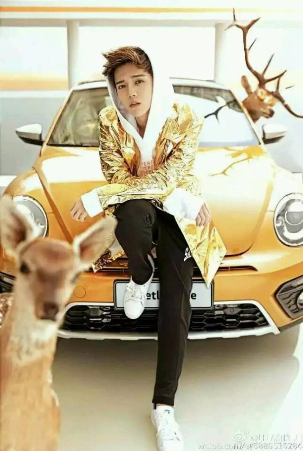 歌手鹿晗音乐作品,鹿晗是演员还是歌手