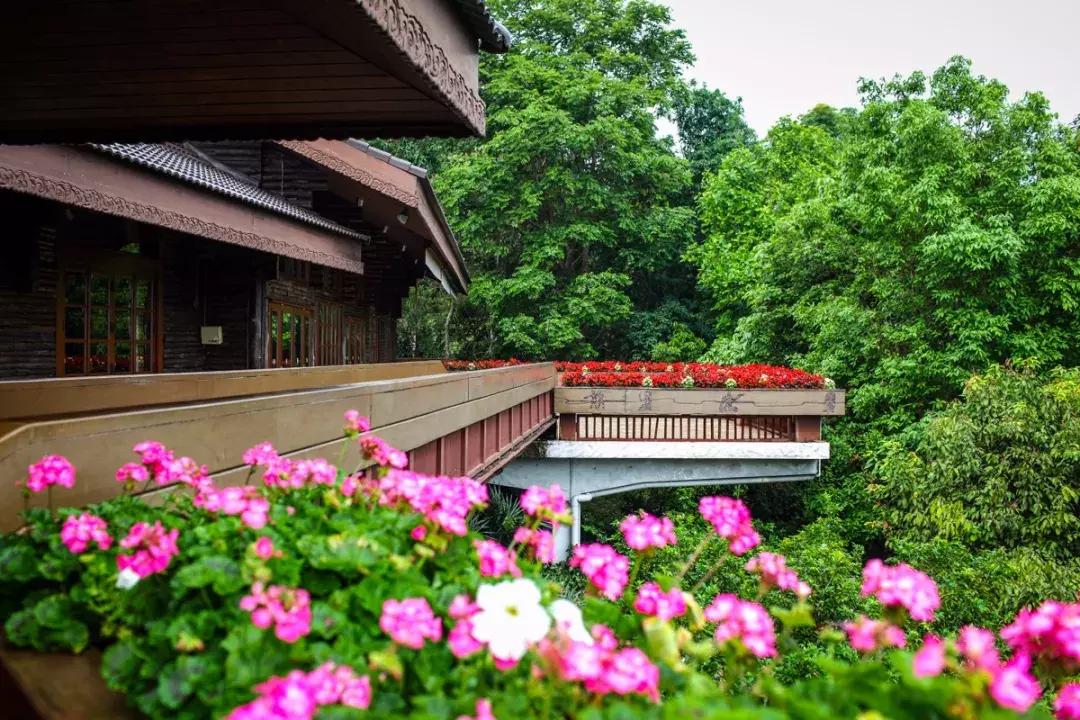 云南磨憨到老挝磨丁旅游攻略,西双版纳自驾老挝旅游攻略