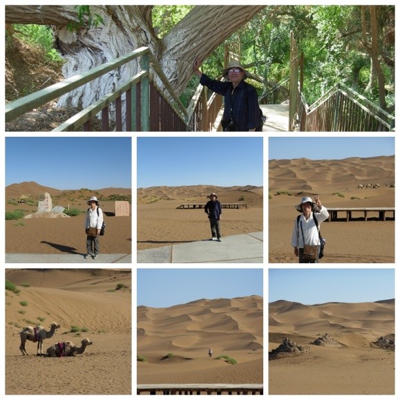 2013年E-1*疆新**东南西北中班车自助游-东