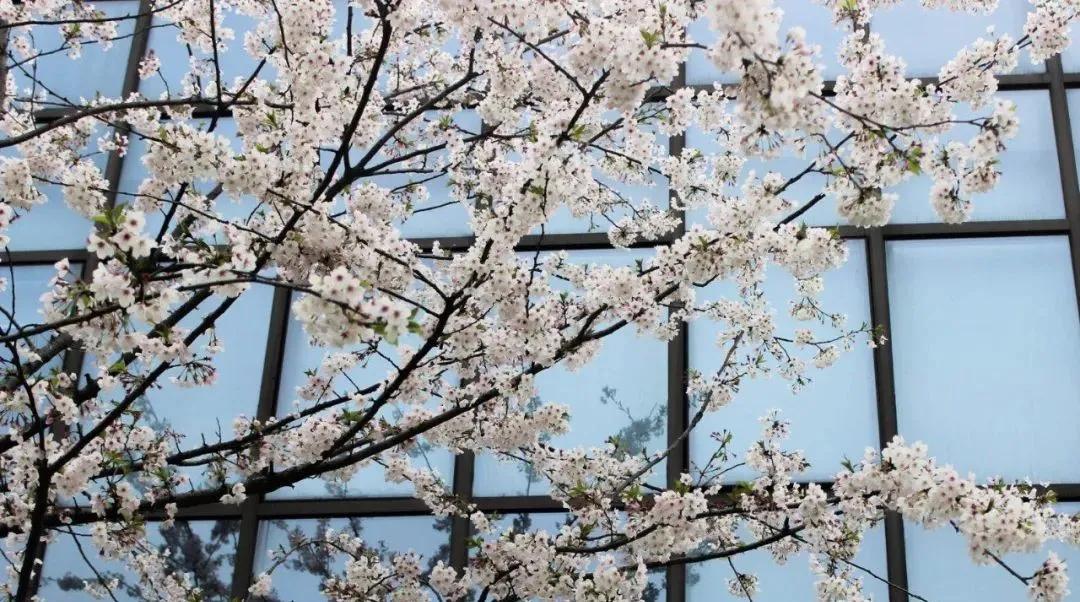 浣犱滑瀹夊績鑰冭瘯鎴戜滑鐢ㄥ績瀹堟姢,鎴戜滑涓轰綘鎶よ埅浣犱滑瀹夊績涓婅