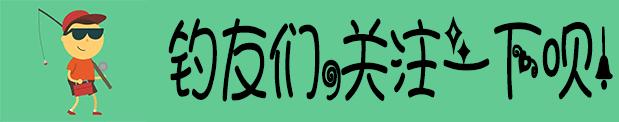 大鱼怎么钓不起来,欧鲤钓怎么提高鱼获