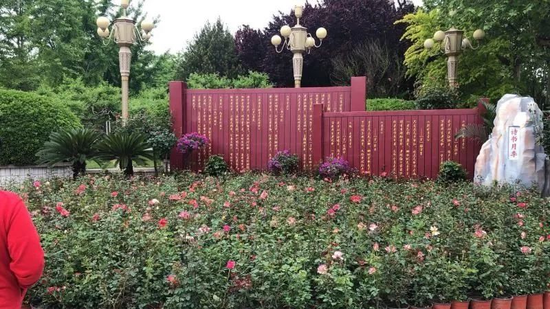 五一石家庄附近去哪旅游免门票,五一石家庄去哪旅游最合适