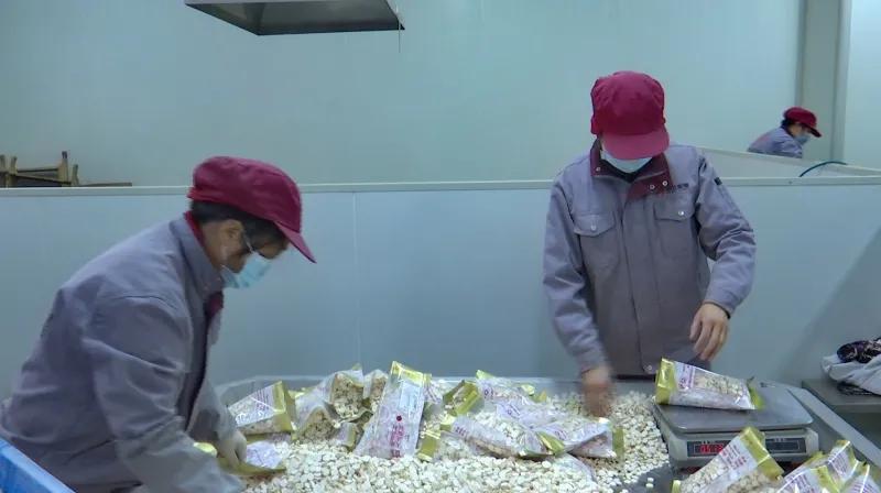 湖北聚瑞生物科技在哪,湖北聚瑞制药