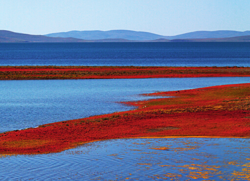 新疆地理历史文化常识,陕西人文历史地理常识