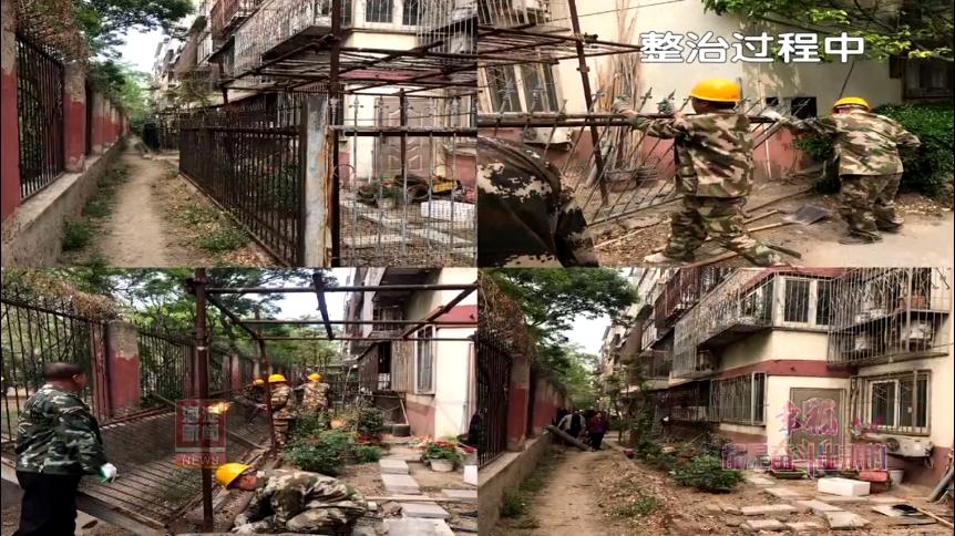 家门口的公园开放了幸福感倍增,家门口的变化资料