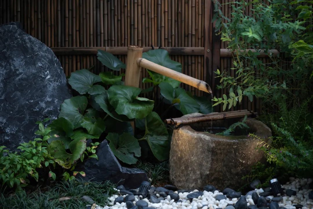 一处优雅恬静的小院,美到骨子里的中式院子