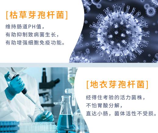 猫咪肠胃软用什么驱虫药,猫咪肠道脆弱怎么选猫粮