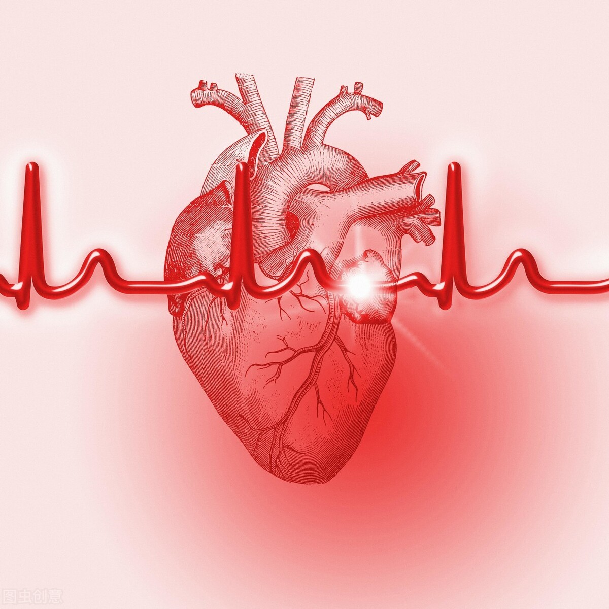 心脏像发动机,心脏就像发动机