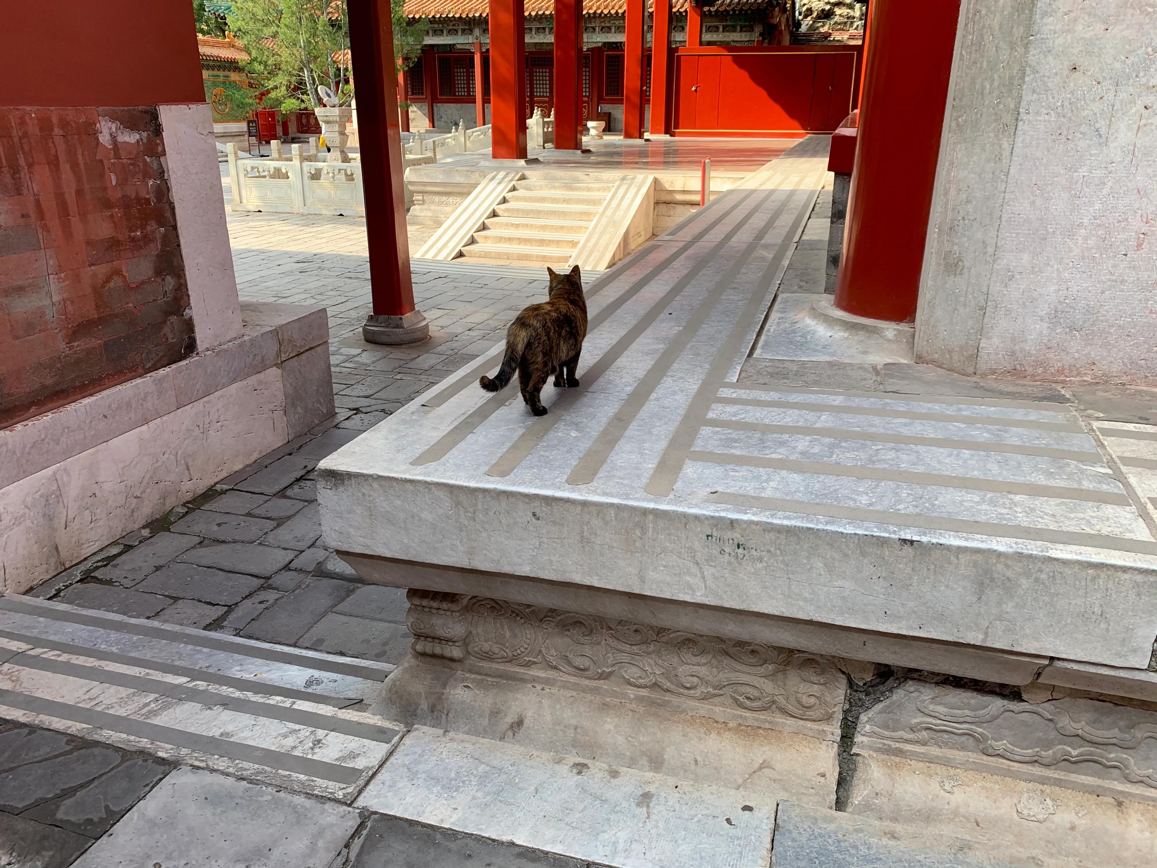 带孩子游玩故宫保姆级攻略,去故宫保姆级攻略