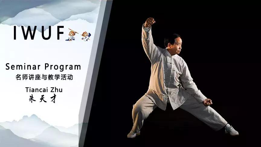 赵幼斌大师杨氏太极拳基本功教学,杨式太极拳名家赵幼斌表演