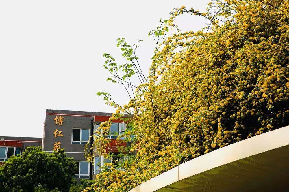 师大一中中考率是多少,师大一中2023重点率