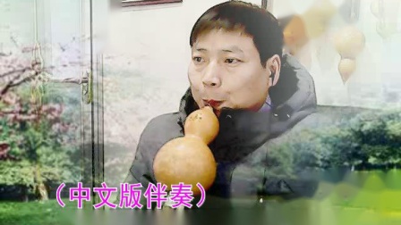 洛阳装修哥原来是网红